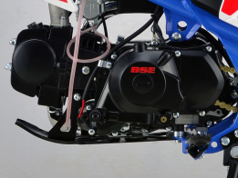 Двигатель в сборе 125CC BSE PH 125