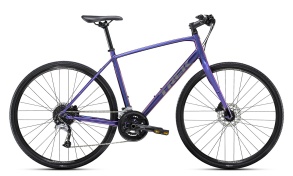 Велосипед Trek'21 Fx 3 Disc