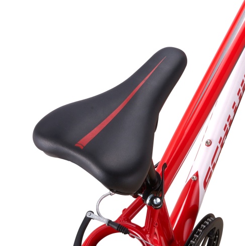 Велосипед Schwinn 2018 FRONTIER BOYS 24" Red