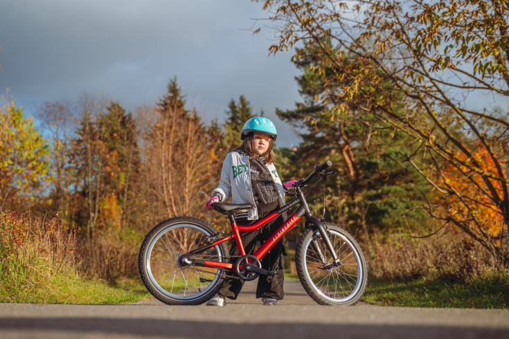 Велосипед детский Alpinebike Pegas 3-20 рассветный оранжевый