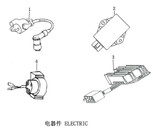 Подбор запчастей ELECTRIC ZS177MM (NC250) [30.123.8109] Двигатели