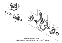 Подбор запчастей CRANKSHAFT CONNECTING-ROD ASSY ZS165FMM (CB250D-G) [30.123.0512] Двигатели