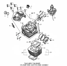 Подбор запчастей Головка цилиндров / ЦПГ ZS169FMM (CB250-D) Двигатели