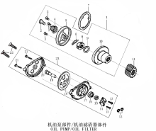 Подбор запчастей OIL PUMP ZS165FMM (CB250D-G) [30.123.0512] Двигатели